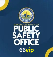Explore as vantagens do 66vip: serviço profissional e confiabilidade